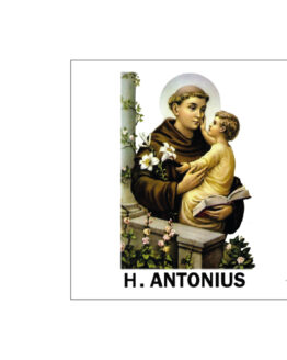 noveenkaars heilige Antonius